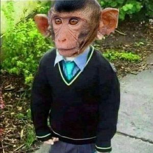 Meet your Posher, Marden